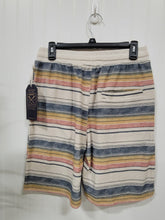 Load image into Gallery viewer, Klinger Lake Striped Shorts
