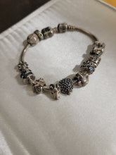 Load image into Gallery viewer, Pandora Bracelet with Charms
