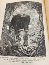 Load image into Gallery viewer, The Jungle Book by Rudyard Kipling
